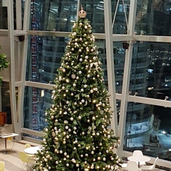 Christmas Tree Hire & Installation