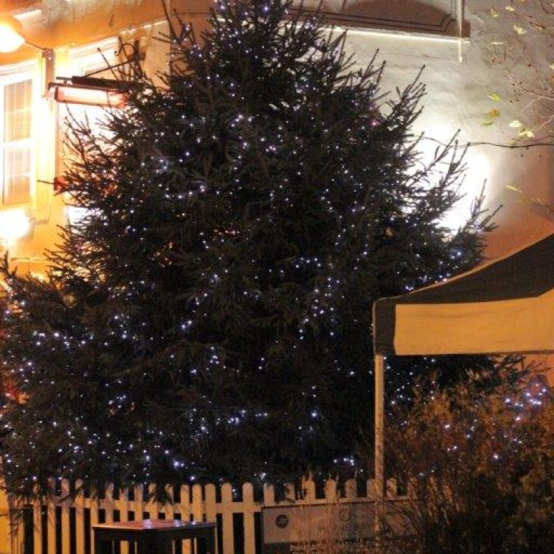 civic display tree