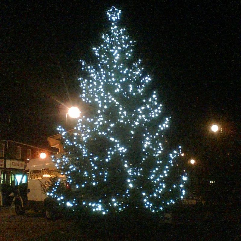 civic display tree