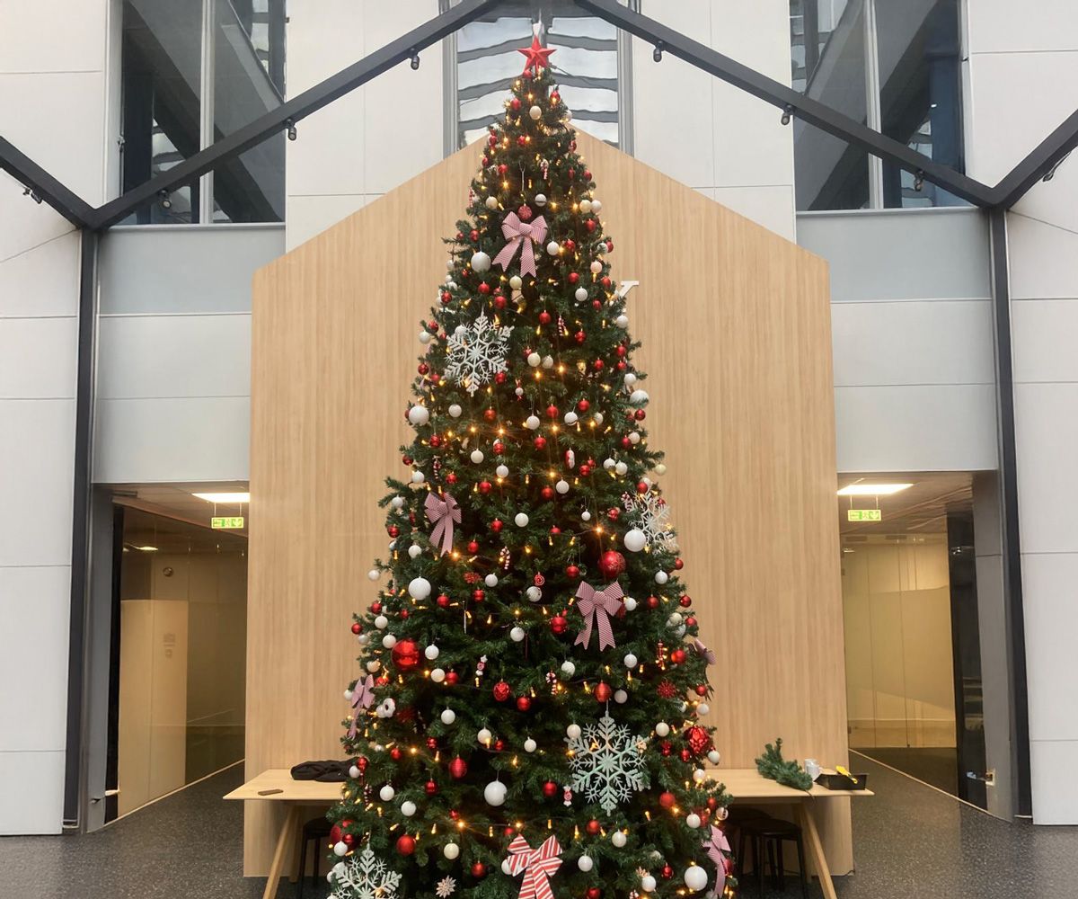 Indoor tree with red and white colour palette