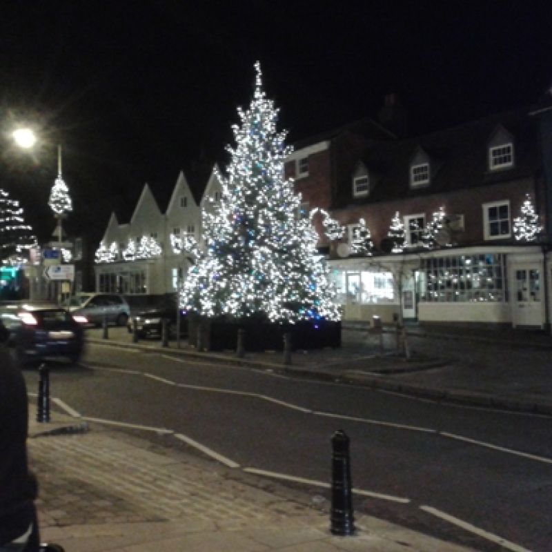 civic display tree and lightings