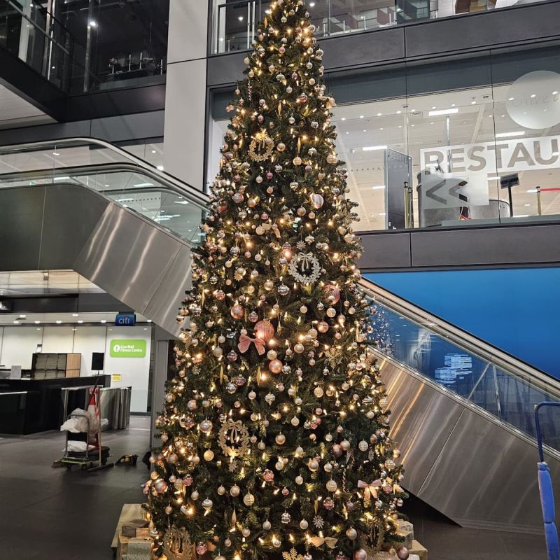 Indoor tree with gold palette